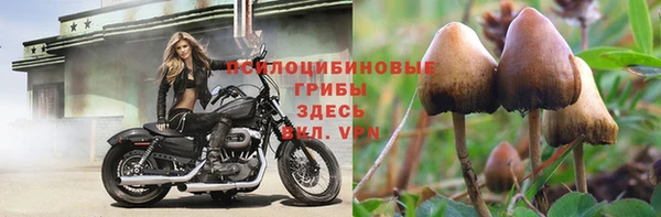 mdpv Баксан