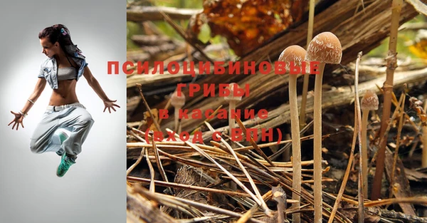 mdpv Баксан