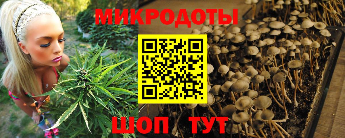 даркнет сайт  Псилоцибиновые грибы Cubensis  Вход с VPN  Усть-Джегута 